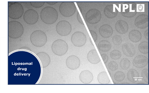 Liposomal drug encapsulation visualised by cryo-EM (Doxyl®). Liposomes courtesy of Nanotechnology Characterisation Laboratory