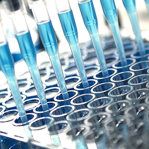 Enhancing drug discovery 