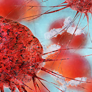 Important mechanisms discovered in identification of cancer growth