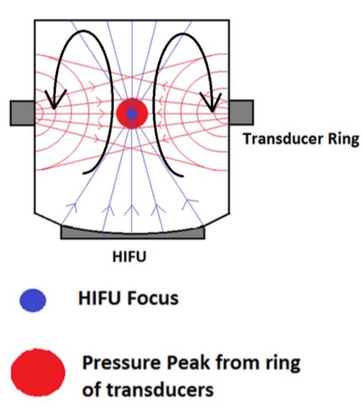 A side-view schematic of a cylindrical graphene sonoreactor