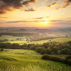Metrology for a sustainable future