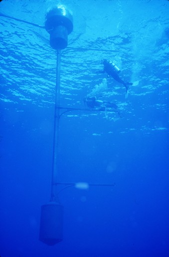 josh-blog-41.jpg