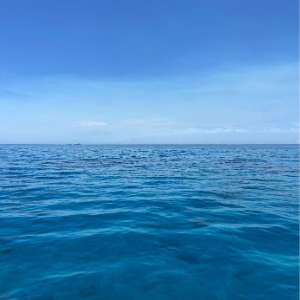 Ocean colour, vicarious calibration and trip to Hawai'i