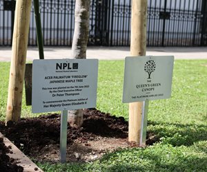 NPL supports The Queen’s Green Canopy