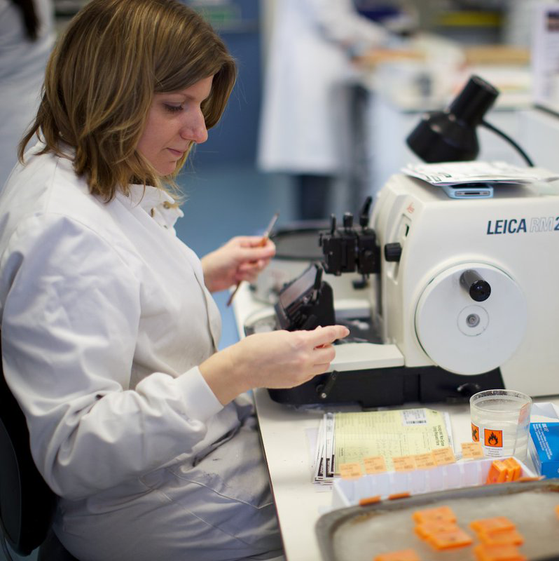 Scientists create artificial virus in the fight against superbugs