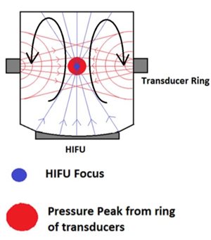 A side-view schematic of a cylindrical graphene sonoreactor