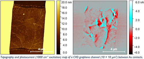 Topology and photocurrent nanoscopy of a CVD graphene device.