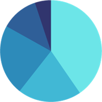 Diverse pie chart