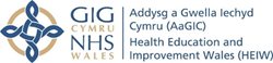 Health and education improvement wales logo