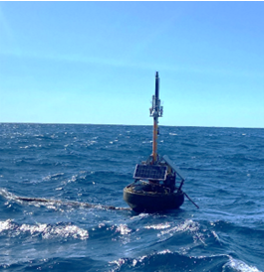 Metrology at sea: My first months with the MarONet team