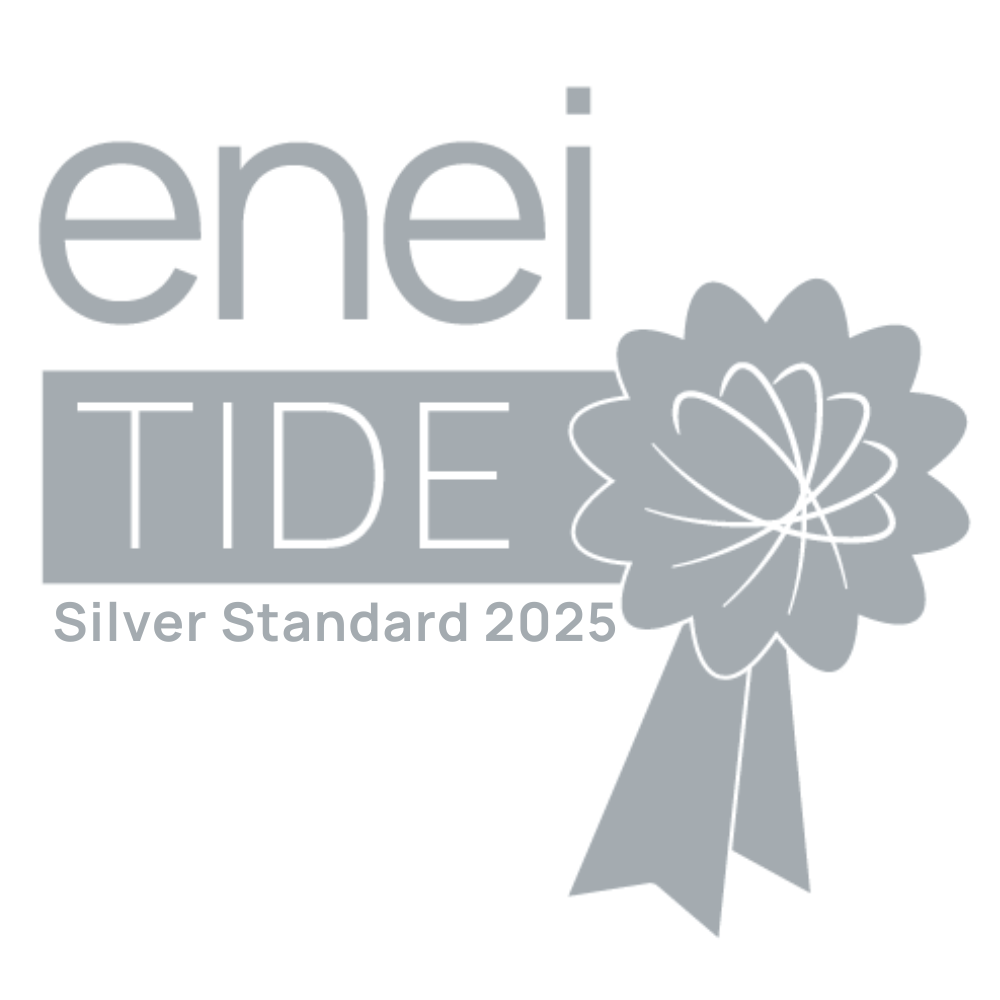 ENIE logo
